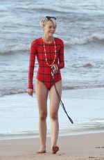JAIME KING in Wetsuit at a Beach in Hawaii 10/23/2016