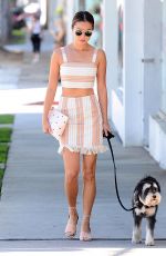 JAMIE CHUNG Walks Her Dog Out in West Hollywood 10/21/2016