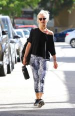 JULIANNE HOUGH Leaves a Gym in Studio City 10/04/2016