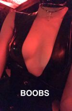 KENDALL JENNER at Kate Hudson’s Halloween Bash in Pacific Palisades 10/28/2016