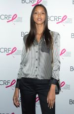 LAIS RIBEIRO at Breast Cancer Research Foundation