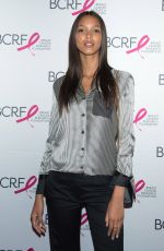 LAIS RIBEIRO at Breast Cancer Research Foundation