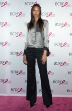 LAIS RIBEIRO at Breast Cancer Research Foundation