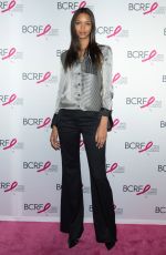 LAIS RIBEIRO at Breast Cancer Research Foundation