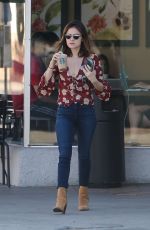 LUCY HALE in Tight Jeans Out in Studio City 10/10/2016