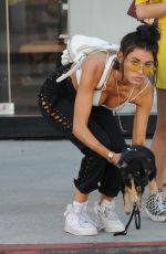 MADISON BEER With Her Dog Out in Los Angeles 10/01/2016