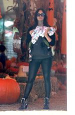 MEGAN FOX at a Pumpkin Patch in Malibu 10/15/2016
