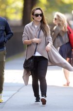 OLIVIA WILDE and Jason Sudeikis Out in Brooklyn 10/17/2016