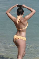 OLYMPIA VALANCE in Bikini at a Beach in Mykonos 10/03/2016