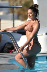 OLYMPIA VALANCE in Bikini on the Beach in Mykonos 10/10/2016