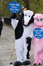 PAMELA ANDERSON at Peta