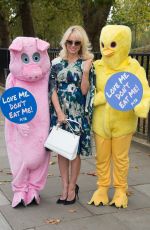 PAMELA ANDERSON at Peta