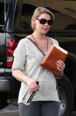 Pregnant KATHERINE HEIGL Out and About in Los Feliz 10/28/2016