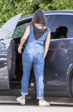 Pregnant MILA KUNIS in Jeans Out in Los Angeles 10/07/2016