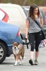 RACHAEL LEIGH COOK Walks Her Dogs Out in Los Angeles 10/27/2016