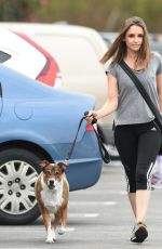 RACHAEL LEIGH COOK Walks Her Dogs Out in Los Angeles 10/27/2016