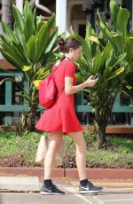 SHAILENE WOODLEY Out and About in Hawaii 10/27/2016