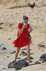 SHAILENE WOODLEY Out and About in Hawaii 10/27/2016
