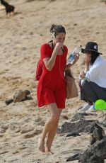 SHAILENE WOODLEY Out and About in Hawaii 10/27/2016