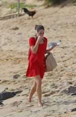 SHAILENE WOODLEY Out and About in Hawaii 10/27/2016