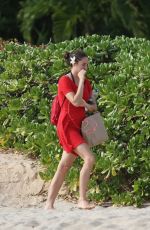 SHAILENE WOODLEY Out and About in Hawaii 10/27/2016