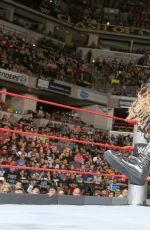 WWE - Clash of the Champions 2016 Digitals