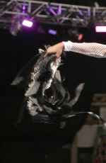 WWE - Clash of the Champions 2016 Digitals