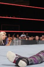 WWE - Clash of the Champions 2016 Digitals