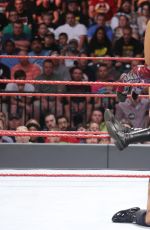 WWE - Clash of the Champions 2016 Digitals