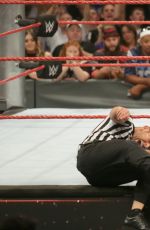 WWE - Clash of the Champions 2016 Digitals