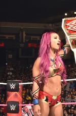WWE - Raw Digitals 10/10/2016