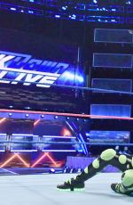 WWE - Smackdown Live! Digitals 10/11/2016