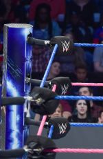 WWE - Smackdown Live! Digitals 10/18/2016