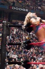 WWE - Stacey Keibler Classic Pictures