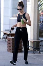 ALESSANDRA AMBROSIO in Tank Top Out in Los Angeles 11/24/2016