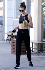 ALESSANDRA AMBROSIO in Tank Top Out in Los Angeles 11/24/2016