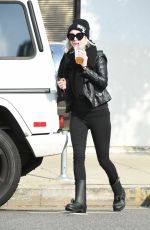 ALESSANDRA TORRESANI Out for Lunch in Los Angeles 11/26/2016