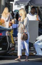 ALI LARTER Out Shopping in Los Angeles 11/29/2016