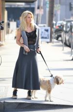 ALICE EVE Walking Her Dog Out in Beverly Hills 11/16/2016