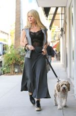 ALICE EVE Walking Her Dog Out in Beverly Hills 11/16/2016