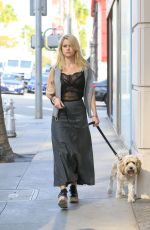 ALICE EVE Walking Her Dog Out in Beverly Hills 11/16/2016