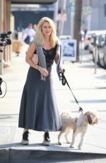 ALICE EVE Walking Her Dog Out in Beverly Hills 11/16/2016