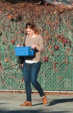 ALYSON HANNIGAN Out Shopping in Los Angeles 11/04/2016