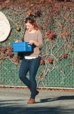 ALYSON HANNIGAN Out Shopping in Los Angeles 11/04/2016