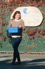 ALYSON HANNIGAN Out Shopping in Los Angeles 11/04/2016