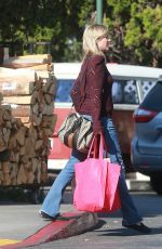 AMY SMART Out Shopping in West Hollywood 11/23/2016