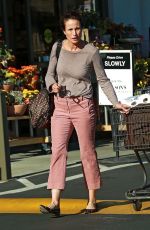 ANDIE MACDOWELL Out Shopping at Gelson