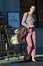 ANDIE MACDOWELL Out Shopping at Gelson