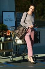 ANDIE MACDOWELL Out Shopping at Gelson
