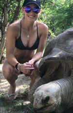 CAROLINE WOZNIACKI in Bikini, 16-17/11/2016 Instagram Pictures